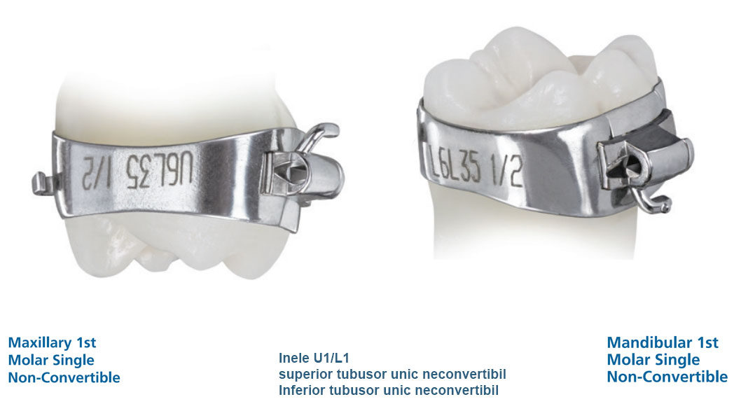 Inele ortodontice pentru molari set de 4 Inele ortodontice pentru molari set de 4 - imagine 5