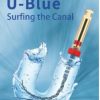 U - blue file ace endo tip PT din NiTi blue