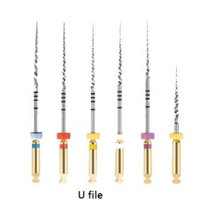 U - file ace endo tip PT rotativ