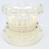 Model typodont orto transparent cu bracketi ceramici