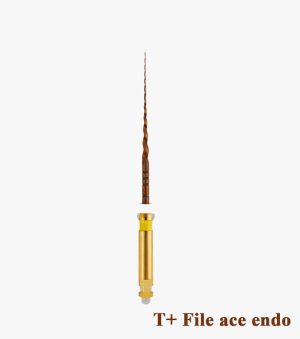 T+ files ace endo pentru cateterism