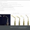 Anse piezo-surgery chirurgie piezo