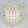 Model typodont orto transparent cu bracketi ceramici