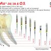 Ace endo ProFile GT Pro File rotative