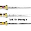 Ace endo PathFile DENTSPLY set 6 ace Ace endo PathFile DENTSPLY set 6 ace