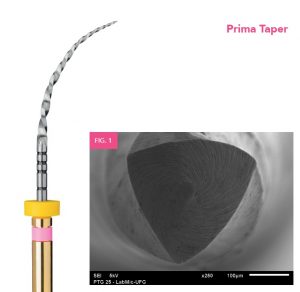 Prima Taper ace endo 6buc tip Pro Taper