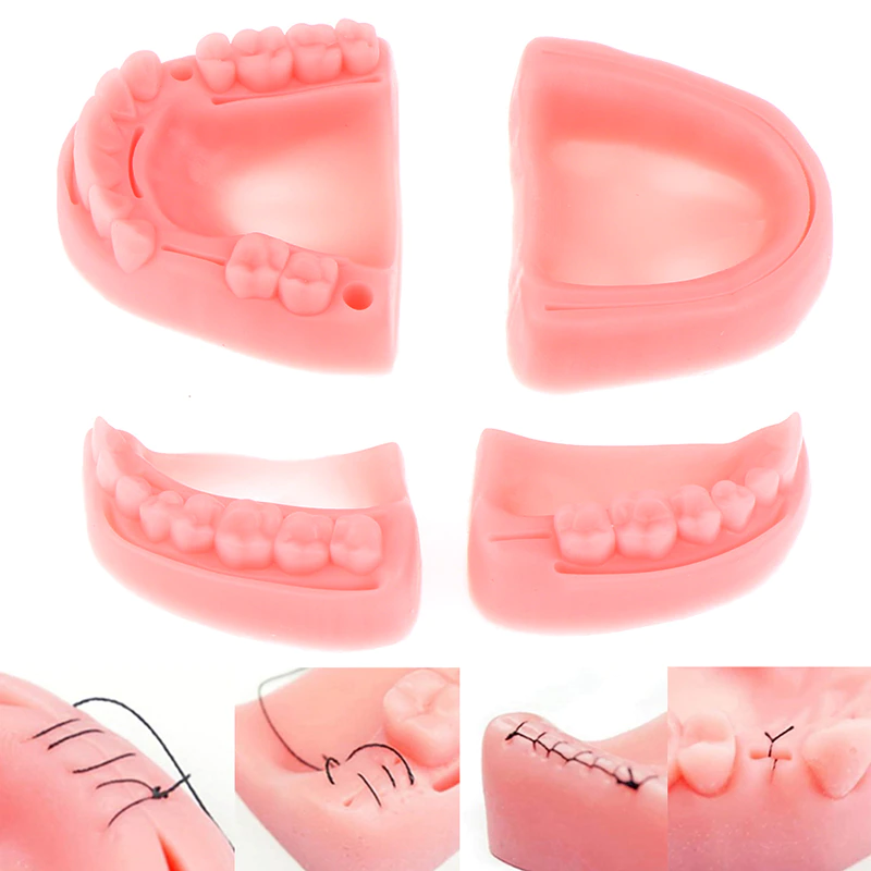 Modele silicon chirurgie orala antrenament suturi chirurgicale set Modele silicon chirurgie orala antrenament suturi chirurgicale set