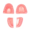 Modele silicon chirurgie orala antrenament suturi chirurgicale set Modele silicon chirurgie orala antrenament suturi chirurgicale set