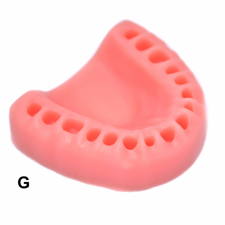 Modele silicon chirurgie orala antrenament suturi chirurgicale set Modele silicon chirurgie orala antrenament suturi chirurgicale set