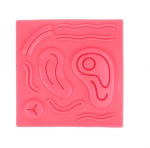 Premierdenta - Premier Denta Pad silicon antrenament suturi chirurgicale laparoscopie