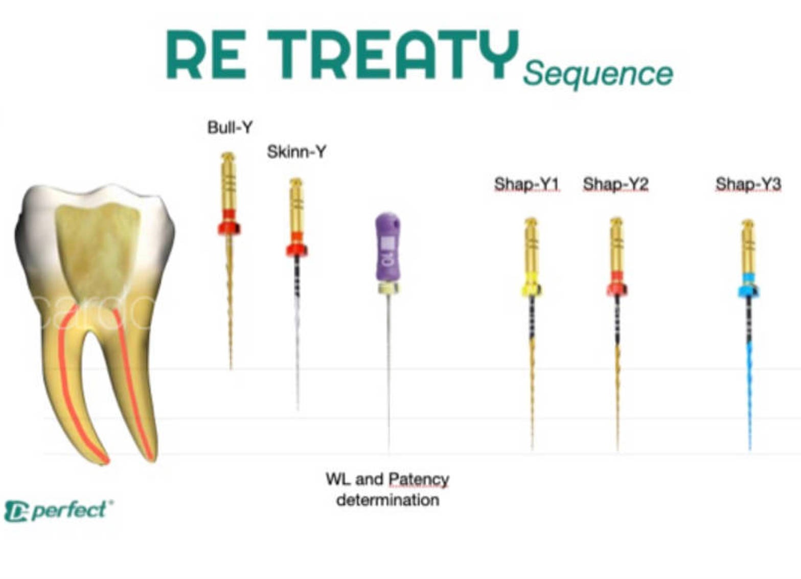 ReTreaty ace endo pentru retratament D Perfect ReTreaty ace endo pentru retratament D Perfect - imagine 2