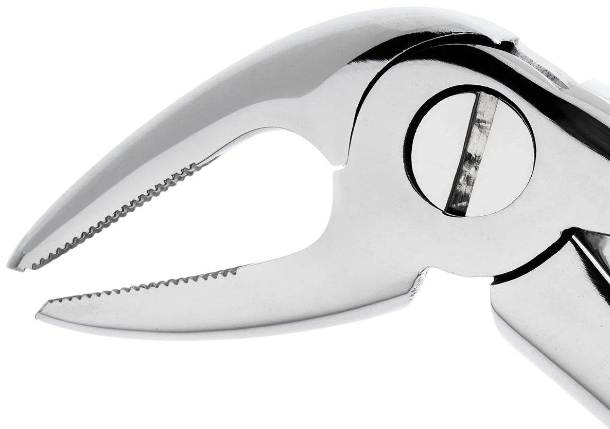 Premierdenta - Premier Denta